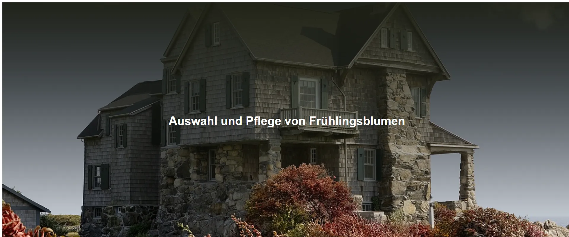 Auswahl und Pflege von Frühlingsblumen