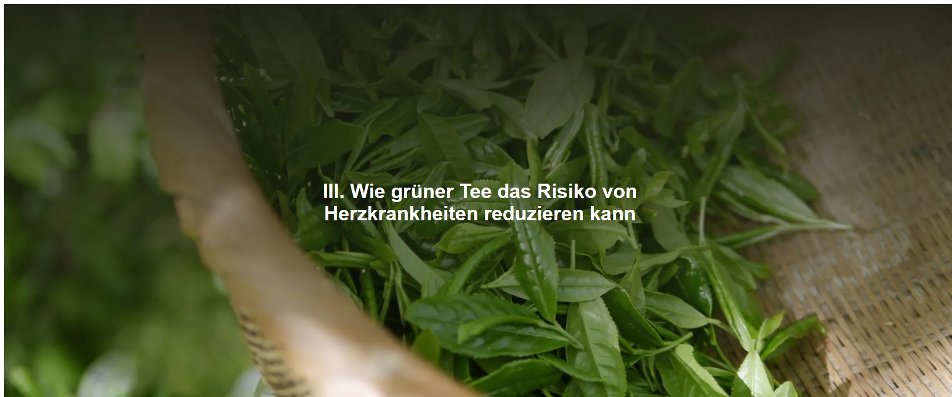 Wie grüner Tee das Risiko von Herzkrankheiten reduzieren kann