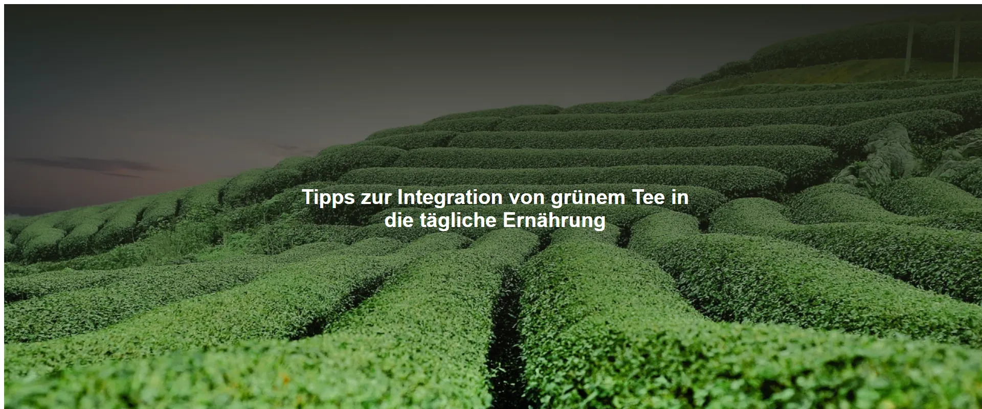 Tipps zur Integration von grünem Tee in die tägliche Ernährung